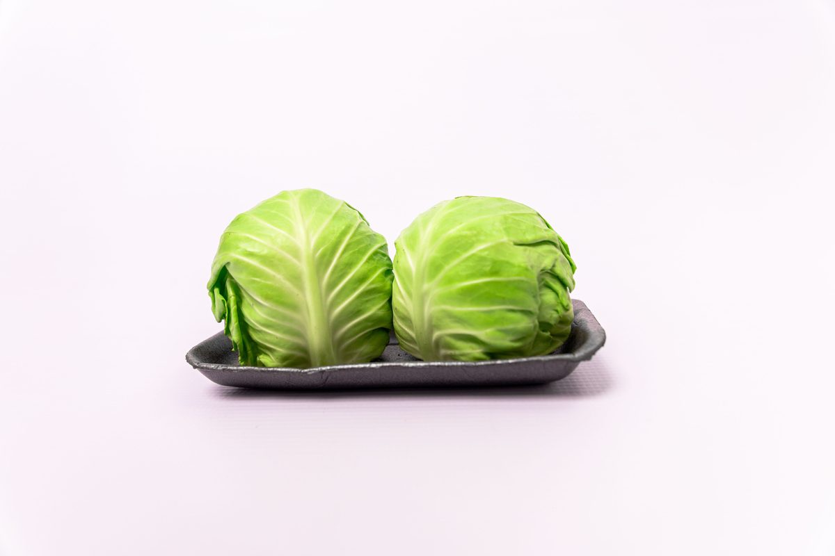 Cabbage